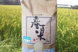 【ＥＭ自然農法米】宮城のササニシキ　精米５kg　分搗き米対応可能