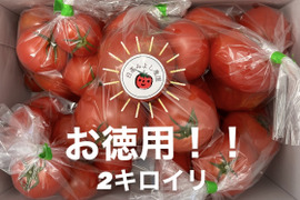 [さらに徳用]むぎゅっとがっしり！！濃旨フルーツトマト（超個性派・10キロ)