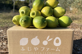 【有機JAS認証】オーガニックレモン2キロ（15個〜18個前後）極上の香りに癒されませんか？「今年もいよいよ始まります！！！」