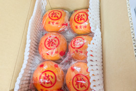 ☆お試し用☆甘い甘い冷蔵柿『富有柿』約1.3kg Lサイズ（約6玉）｜ご家庭用にも 【冬ギフト】 にもぴったり！