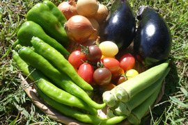 一人暮らしの方に・季節の野菜セット５～７品（Ｓサイズ・1.2～1.5kg前後）【お試しサイズ】