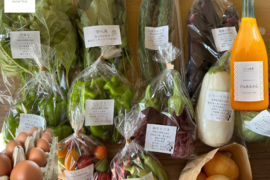 超お得！農薬不使用旬野菜8品・平飼い卵10個・ぴゅあみかんジュース