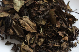 白茶（2021年）在来 　農薬・肥料不使用 加茂自然農園のお茶
