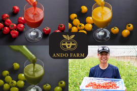 『希少』チェリートマト使用　飲み比べチェリートマトジュース180ml×5本入