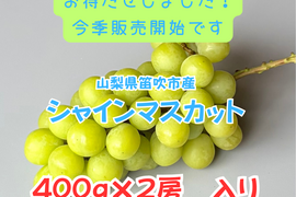【販売開始しました！】「山梨県笛吹市産シャインマスカット」ご家庭用におすすめ/４００ｇ×２房 ８００ｇ