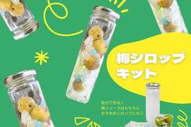 【梅シロップキット】梅ジュースや梅シロップが簡単に作れる！見た目もかわいくプレゼントにも◎　岐阜県郡上市産100％