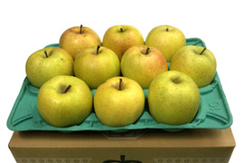 【予約販売】「人気急上昇!! 」王林🍏家庭用約2.7Kg🍏青森県産　数量限定