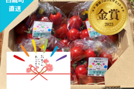 【母の日ギフト】感謝の熨斗付き♡金賞フルーツトマト『アマティ』1kg（250gx4p）