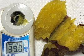 熟成した甘さの有機さつま芋（紅はるか）訳あり品【9kg】　焼き芋にすると糖度３８度超え‼