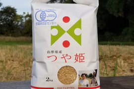 令和4年産　JAS有機栽培つや姫玄米2kg×2袋(転換期間中)