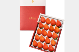 【贈答用・限定出荷】軽井沢産・希少いちご 桃薫（とうくん）350g前後×1P｜白桃のような香り漂う冬限定フルーツ苺