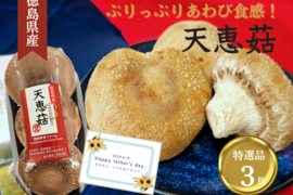 【父の日】ぷりっぷりあわび食感！徳島県産特級天恵菇　3枚入り　ギフト　のし対応可