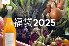 【福袋2025】超お得！農薬不使用旬野菜10品・平飼い卵10個・ぴゅあみかんジュース