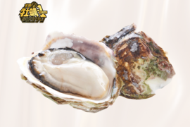 【2025牡蠣-1🏆金賞受賞】生食可！いわがき春香Mサイズ（235g～300g）６個入