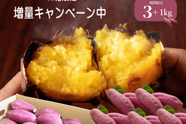 １㎏増量キャンペーン／限定３０箱／３月４日～３月３１日まで／髙鍋農園ブランド”おいしさの極み”紅琥珀スイート👩‍🍳上品な甘さが最高に美味しい😋３㎏プラス１㎏【阿蘇・西原産】