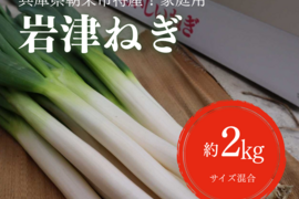 11月23日解禁待ち！甘みとろける！朝来市産『岩津ねぎ』 2kg（ご家庭用）