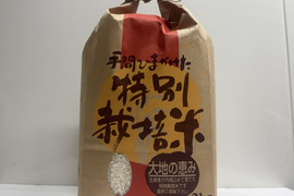 農薬は使用せず、淀川のおい水と長年かけて作った豊かな土壌から育った味のあるお米！『高槻市三島江産　ひのひかり』2kg