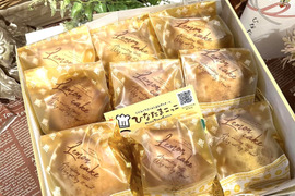 レモンピールたっぷり！爽やかレモンケーキ「レモンの雫9個入」食べチョク　【お歳暮】