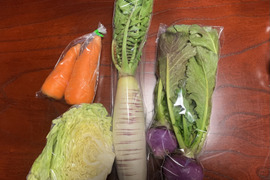 【自然栽培】4品目お試し旬のお野菜セット
