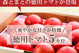 さわやかな甘味が特徴の徳用トマト5kg 宮崎県産