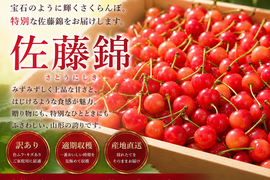 食べチョクオープン特別価格！！！山形県産　さくらんぼ　佐藤錦　訳あり　1kg
