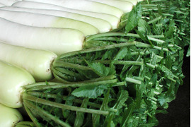 【訳あり】大根 11kg