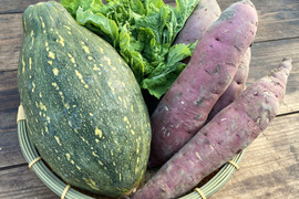有機JAS認証☆季節のおまかせ野菜セット【約3㎏】