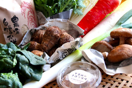 みそ鍋・雑炊に！甲斐路の冬野菜・お米・手作り味噌セット