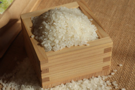 無洗米10kg