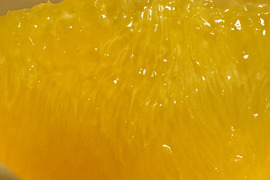 島育ちのネーブル