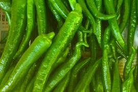 辛くないよ～黒と緑のチカラ！ししとうパワー＊農薬/化学肥料・不使用