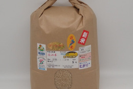 令和6年新米✣満開の菜の花が育てた菜の花米✣近江米コシヒカリ✣環境こだわり米✣玄米5kg