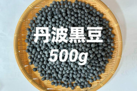 🎍新豆🎍丹波黒豆（黒大豆）500g 有馬温泉の麓発 極上のお豆さん🫛土づくりにこだわった低農薬栽培の最高傑作🌟 丹波黒大豆 丹波黒豆 丹波黒 黒豆 黒大豆《12月中旬〜発送・お買い得📣！》