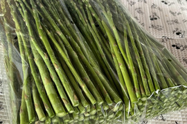 【訳あり極細】グリーンアスパラガス２ｋｇ　北海道幕別町産露地（Ｓ～ＳＳサイズ）