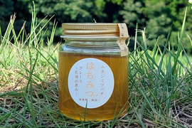 【伝えたい🥺】自然入居🐝天然ニホンミツバチの「🍯はちみつ」（140ｇ）
