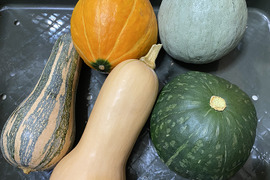 食べ比べ！かぼちゃセット！（3.5kg、小・中型、5～6個入り）農薬・化学肥料不使用