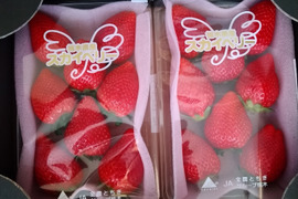 【大粒】
完熟スカイベリー