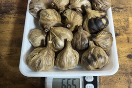 少しお安くしました　お試しください17 自然栽培　黒にんにく 人気　サイズ大きめ多め　たっぷり660グラム令和4年度新物　食べやすくて美味しい