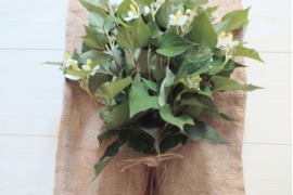 ドクダミの花束10本🌿 生葉🌿 生花 どくだみ 🏣ゆうパック60サイズ