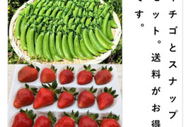 イチゴとスナップのセット＜いちご/15個＋スナップ/約700g＞