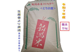 【新米・数量限定 即発送】令和7年産 新潟・とちお産コシヒカリ
農家直送！山の湧水で育った自慢の精米5kg（送料相当値引き中／箱込み総重量）