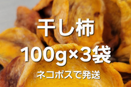 甘柿の干し柿100g×3袋