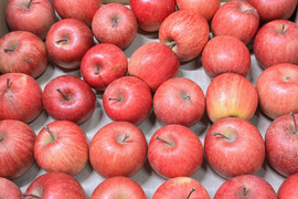 ★ジュース加工用★【超小玉 バラ詰め】サンふじ🍎約5Kg🍎ミニミニサイズ　加工用りんご　青森県産　数量限定