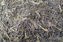 煎茶（2025） さやまかおり 新茶 加茂自然農園のお茶　農薬・肥料不使用　緑茶