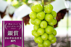 皮ごとパクリ！とっても甘くて美味しいプレミアム‼ 温室栽培シャインマスカット (約1.7㎏ 3～4房)お中元・ギフト・贈り物用に【夏ギフト】【贈答品】【特秀品】【秀品】