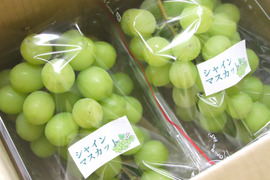 【夏季限定】No.82　2kg　シャインマスカット　摘みたて　産地直送　山梨県産 楽天市場】シャインマスカット 桃 フルーツ詰合せ 【8月上旬出荷