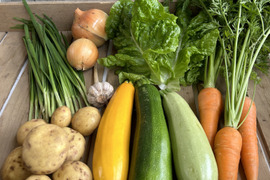 【栽培期間農薬不使用】六月農園　宮殿の厨房野菜お試しSセット【4-5品目】