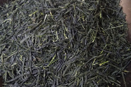 かぶせ茶（2025）ごこう 加茂自然農園のお茶　農薬・肥料不使用　緑茶
