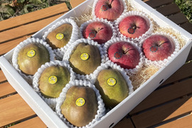 【冬ギフト】 ★秋の味覚★ラ・フランスと完熟サンふじ詰め合わせギフトセット★