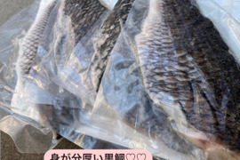 【冷凍】黒鯛　１kg入り